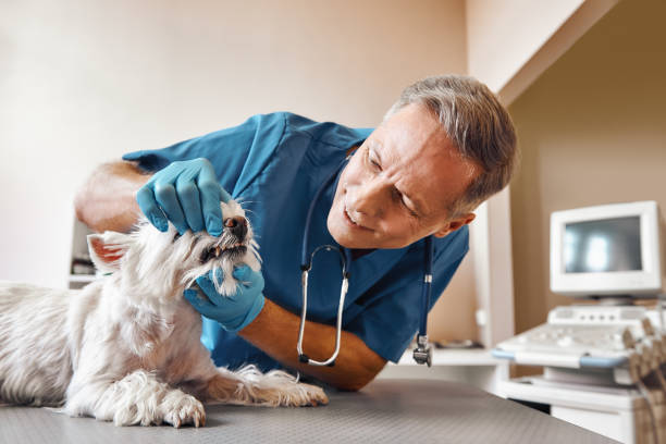 Best Weekend Emergency Dentist in Beach City, TX